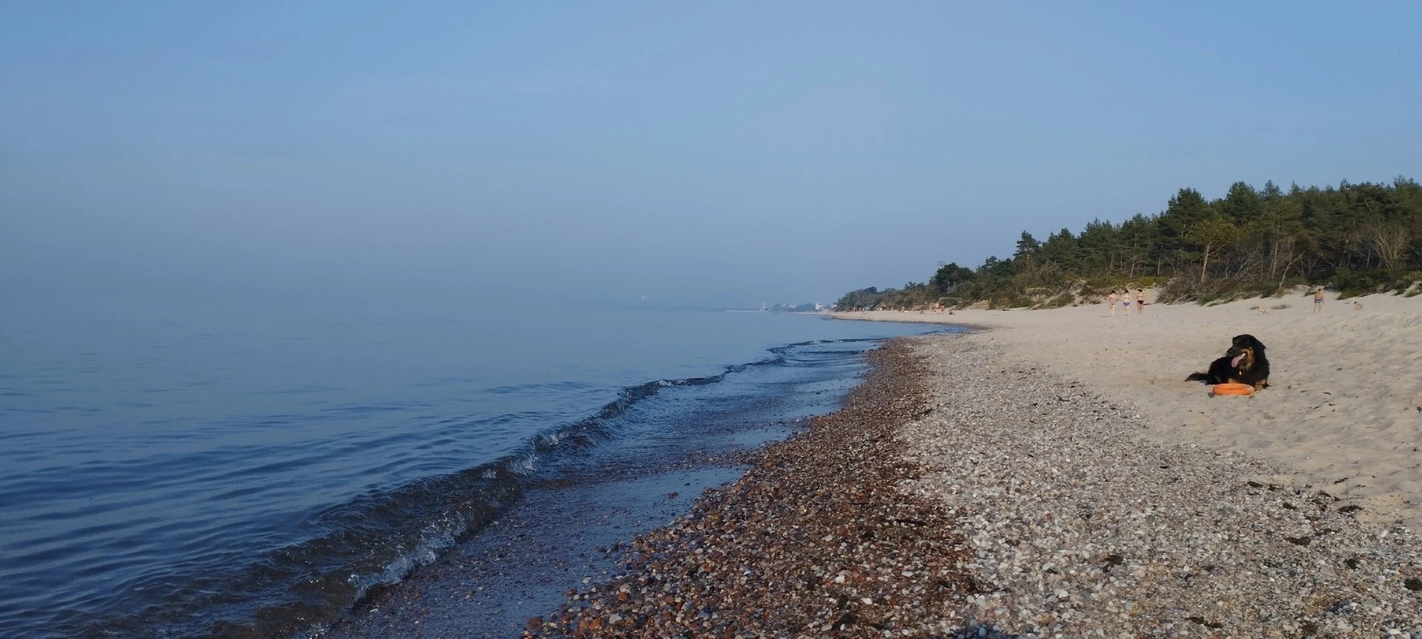 Летний пляж Балтийского моря
